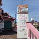 핑크헨젤 이미지