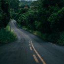 상주행정사 이미지