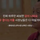 정완균 | [브이디로봇] 사장님들의 진짜 후기를 들어보세요!