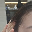 이튼 | 여의도 미용실 아이디헤어 브라이튼점 후기 | 체스넛브라운 염색 + 아틸 클리닉 만족