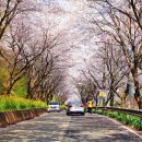 고남저수지 이미지