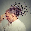 ​알츠하이머병에 대해 우리는 얼마나 알고 있나? 이미지