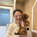 나인동물의료센터 이미지