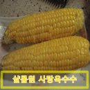 샬롬원 | 샬롬원 사탕옥수수; 설탕 소금 안넣어도 무지 단 사탕옥수수 강추