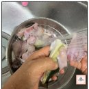 칠성복어 이미지