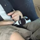 평강의쉼터 | 마이애니멀스토리 in 평강랜드_:) 자연 속 식물원과 동물원이 공존하는 곳. 동식물 체험 테마파크_ 포천...