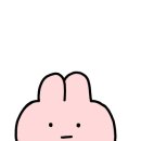카페포텐셜