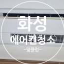 영클린홈 이미지