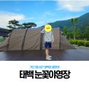 태백종합인쇄공사 | [육아] 태백 눈꽃야영장 4번 사이트 2박 3일 후기 - 서울은 더워요? 태백은 추운디