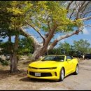 광렌트카 이미지