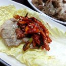 수육갑 Daum카페