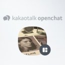 스테이에셀 이미지