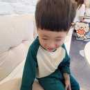 달보드레13 이미지