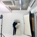 라리스튜디오 흰배경 안개꽃 부케 촬영 후기