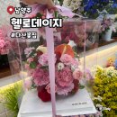 지금동물병원 | 남양주 다산동꽃집 헬로데이지 카네이션 케이크 후기