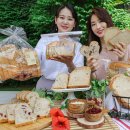 종합건강백화점 이미지