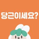 비범마켓