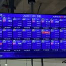 풀스포츠 | 제주 981파크 KBO 풀패키지 후기! 스포츠랩부터 링고까지 직접 체험한 솔직 리뷰