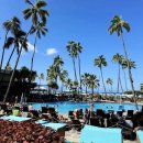 월드컵빌리지 | 하와이 힐튼 하와이안 빌리지 숙소 추천 (알리 타워, 힐튼 라군, 수영장, 객실 업그레이드 완정 정리)