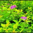 기복농장 이미지