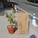 열매달열여드레 이미지