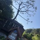 아주특별한여행 | 반려견과 함께하는 가평 여행, 개별 바베큐가 매력적인 '아주특별한여행' 펜션 내돈내산 후기
