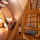 소나무세상 이미지