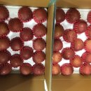 하은농원 이미지