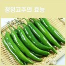 (주)고추나라 이미지