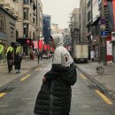 카페 시도 이미지