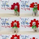 생글댕글 이미지