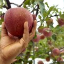 유재하농장 이미지