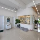 306 퍼피 이미지