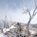 (주)바람의언덕