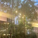 (주)라파엘산후조리원 이미지