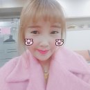 봉가지 이미지