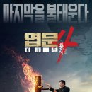 엽문4 - 더 파이널 ( ip Man4: The Finale , 2019 ) 이미지