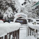 서울나래학교 이미지