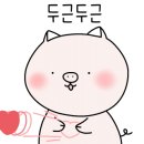 피자스톰 동두천점 이미지