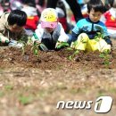 흙장난 이미지