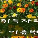 지음애