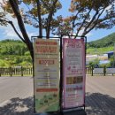 이마트24강화흥왕리점 | 강화도 아이랑 가볼만한곳, 강화루지