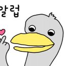 고넉담
