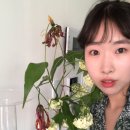 강릉별당빨래터 이미지