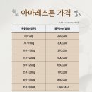아마레펫 네이버블로그