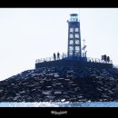 죽도해상낚시터 이미지