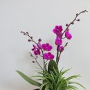 희구농장 이미지