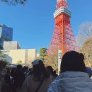 플로어가든02 | 도쿄타워 계단 포토 스팟 위치 공유 일본 겨울 여행