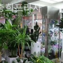 서울프라자 횡단보도 이미지