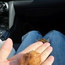 천안제일약국 | 경부고속도로 부산방향 천안호두휴게소 맛집 푸드코트 간식 추천